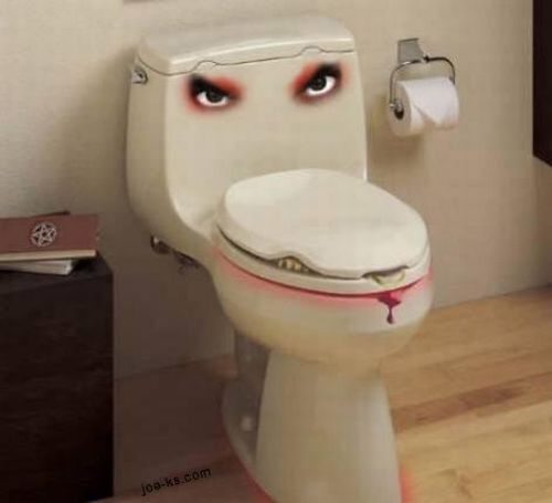 Most Unusual Toilets