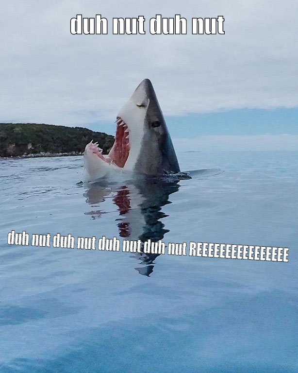is scary shark