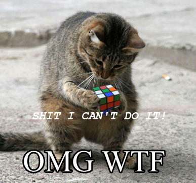 A cat solving the rubix cube
