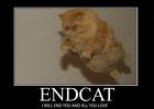 funny cats one