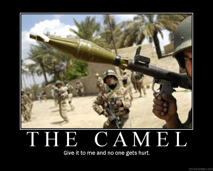  give him the camel