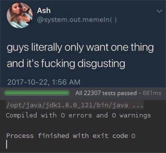 screenshot - Ash .out.memeln guys literally only want one thing and it's fucking disgusting , All 22307 tests passed 681ms, optjavajdk1.8.0_121binjava ... Compiled with o errors and o warnings Process finished with exit code o