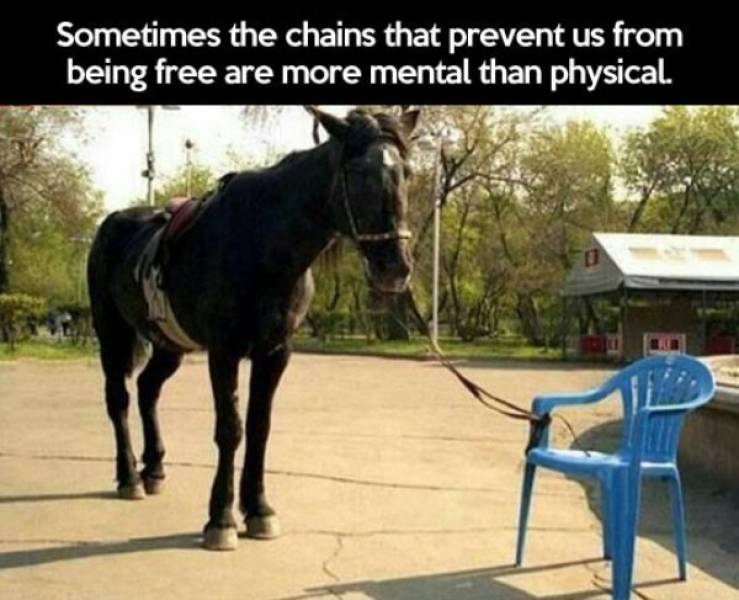 sometimes the only thing holding you back - Sometimes the chains that prevent us from being free are more mental than physical.