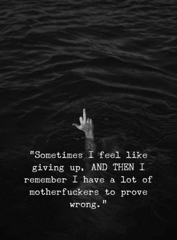 Quotation - "Sometimes I feel giving up, And Then I remember I have a lot of motherfuckers to prove wrong."