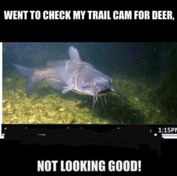 24 Fishing and Hunting Memes For Those of Us That Have Ever Been Outside