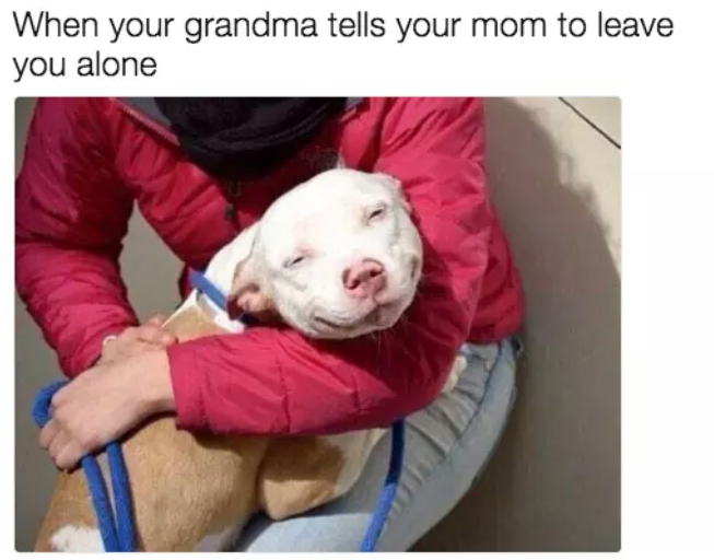 your grandma meme - When your grandma tells your mom to leave you alone