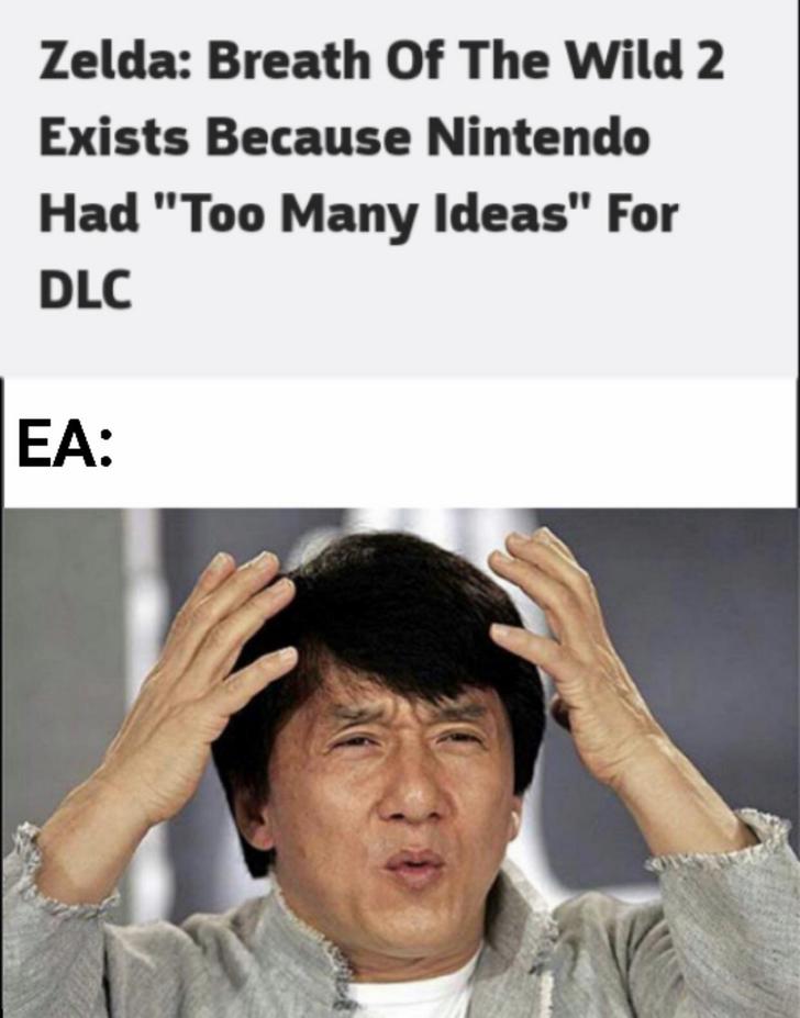 dont understand meme - Zelda Breath Of The Wild 2 Exists Because Nintendo Had "Too Many Ideas" For Dlc Ea