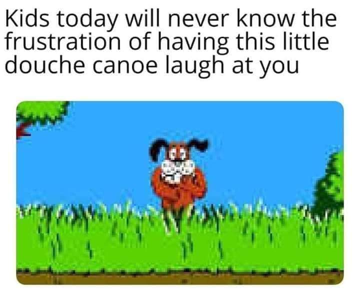 duck hunt dog - Kids today will never know the frustration of having this little douche canoe laugh at you
