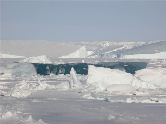 Iceberg Gallery