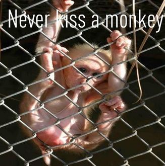 Never kiss a monkey.