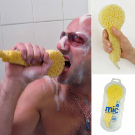 shower sponge microphone