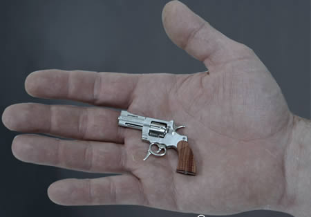 World's Smallest Gun (Switzerland)