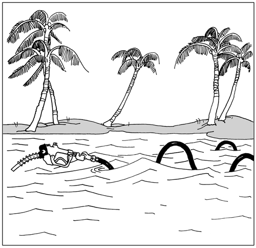 1970's Gulf of Mexico Oil Spill Cartoons