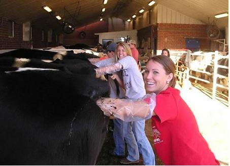 Bizzar pictures from around the world