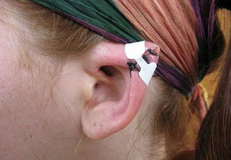 Bizzar pictures from around the world