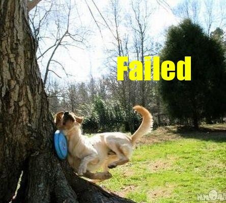 FAILED!!