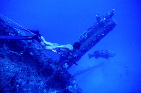 The underwater world of freediving.