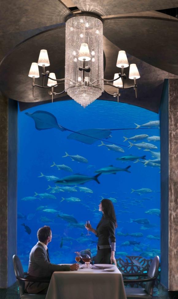 Check out this amazing hotel, Atlantis!