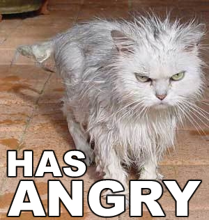 Angry Kitteh