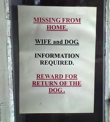 2. If you come home to find your wife and dog are missing, chances are she took him for a walk