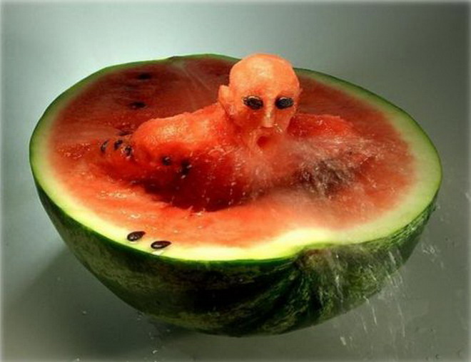 Creative Art Made From Food