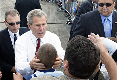 Bush rubbin heads