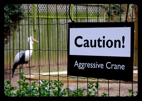 30 bizarre zoo signs