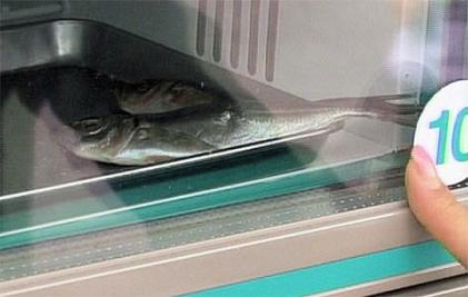 Dead Fish Vending Machine