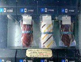  Necktie Vending Machine