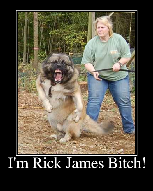 I'm Rick James Bitch!