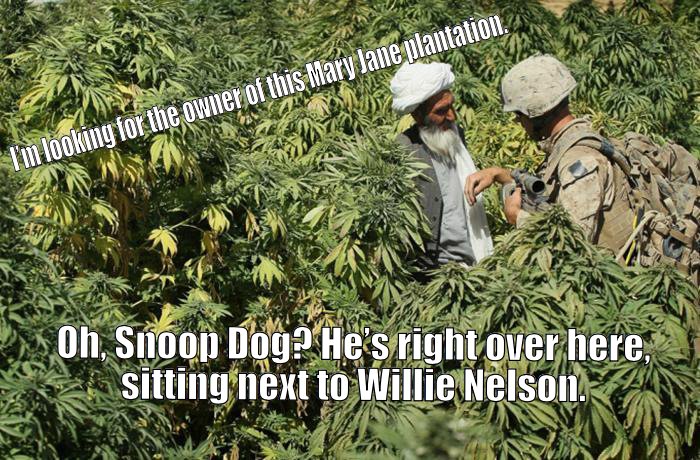 Snoop Dog and Willie Nelson expanding their empire.