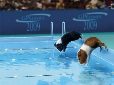 Animal Olympics