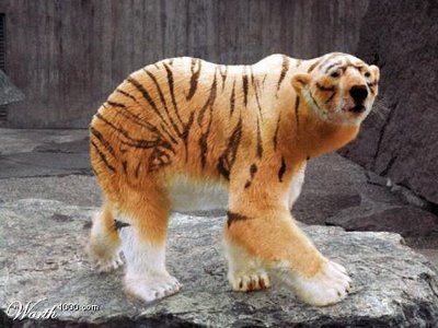 large list of photoshopped animals