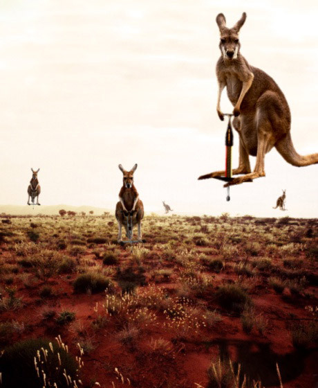 Kangaroo Pogo