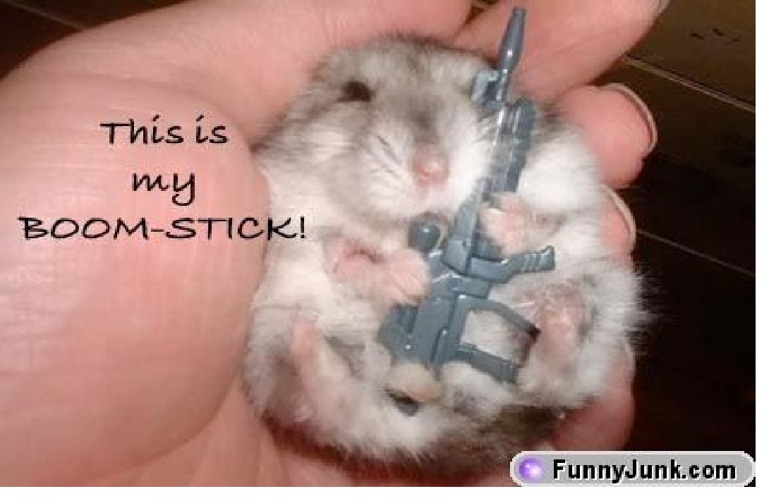 This hamster is a soldier from World War 2