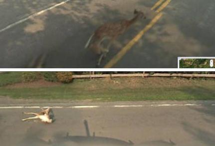 Embarrassing Google Street View