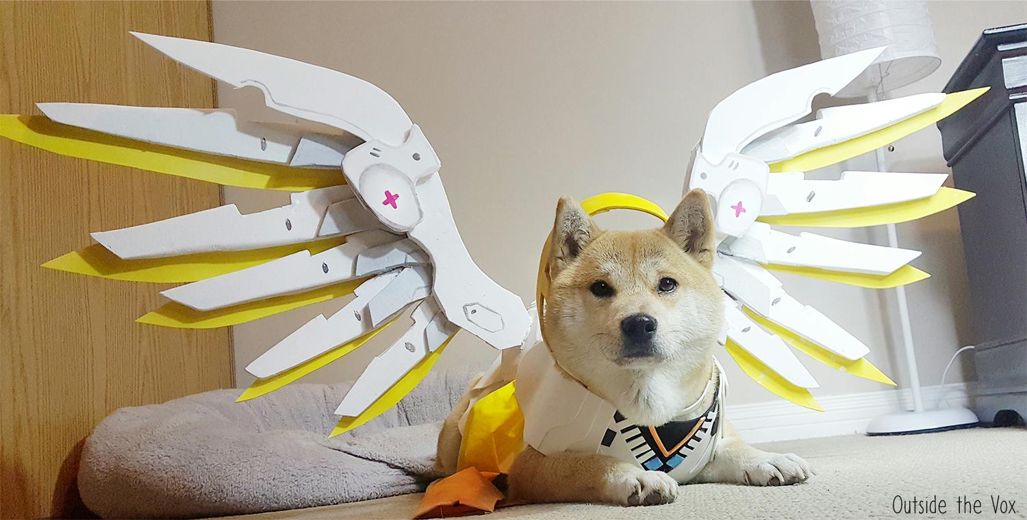 Cute Doggo cosplay