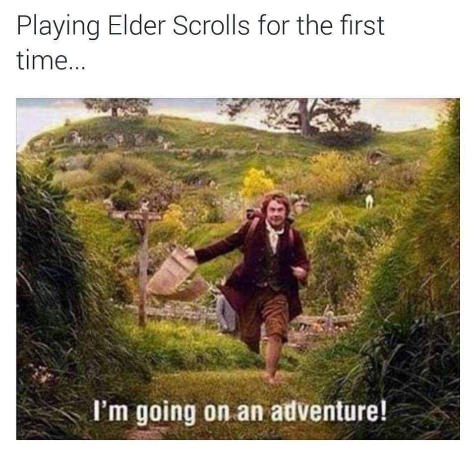 Meme about the first time playing the video game Elder Scrolls