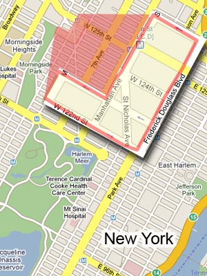 18. New York, N.Y. Neighborhood: St. Nicholas Ave./125th St. Found Within ZIP Code(s): 10027 Predicted Annual Violent Crimes: 117 Violent Crime Rate (per 1,000): 116.30 My Chances of Becoming a Victim Here (in one year): 1 in 9