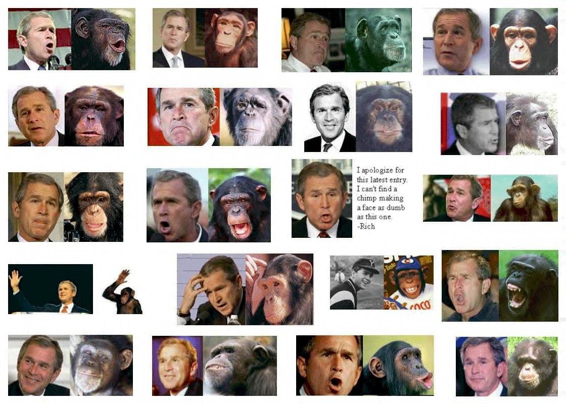 the many faces of president bush
