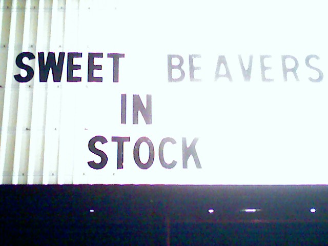 Sweet Beavers