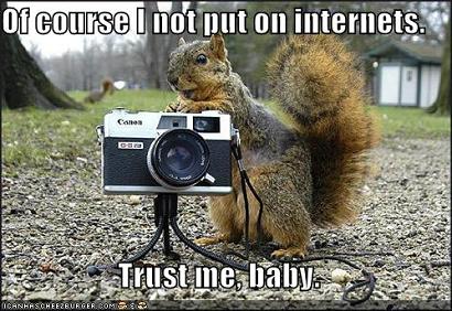 Funny Squirrels