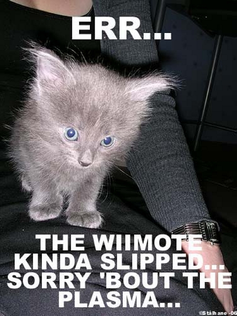 Wii mote kitten
