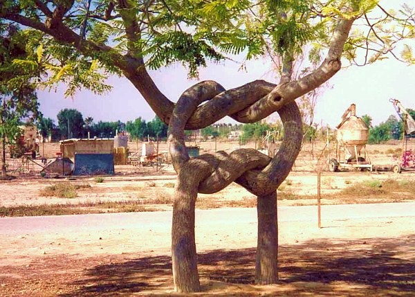 Unusual Trees