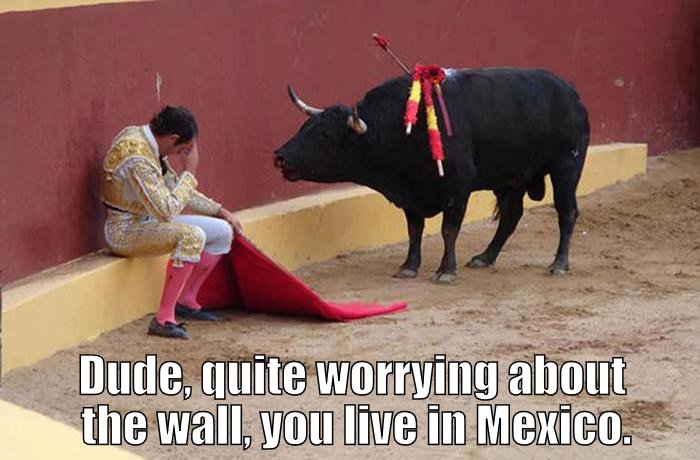 Trumps US/Mexican wall