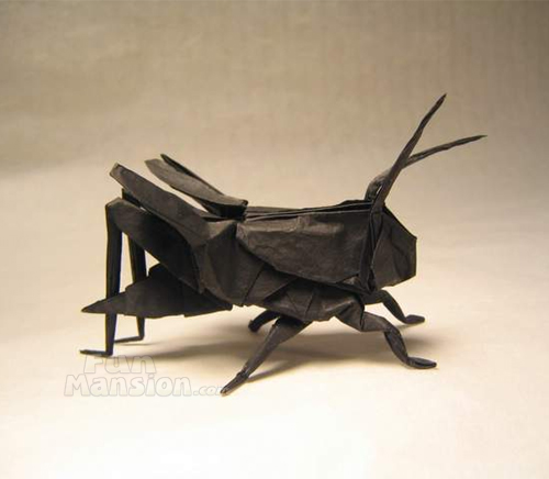 Amazing Origami