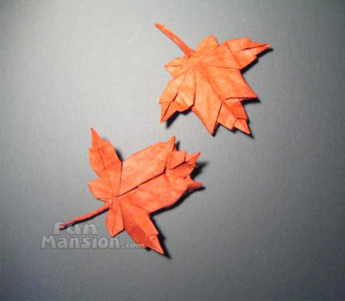 Amazing Origami