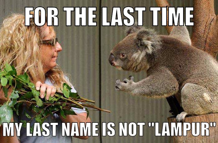 Koala Lampur