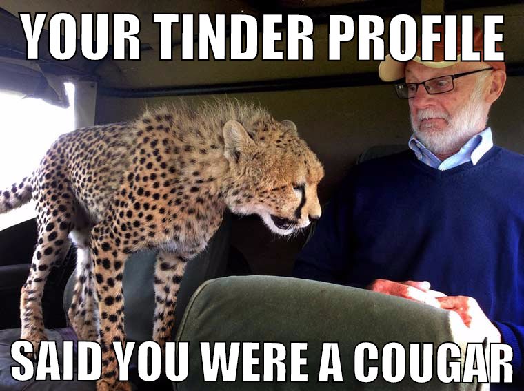 tinder cougar cheetah alles klar kinder-bois schoen tschss Germang sossitch-time Hr.Ebums