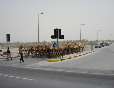 Middle East Traffic Jam 